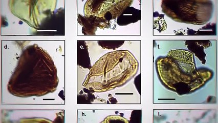 Unsolved Mysteries in Antarctica 🤯😱😵 #knowledge #trending #viralvideo #zemtv Zem tv