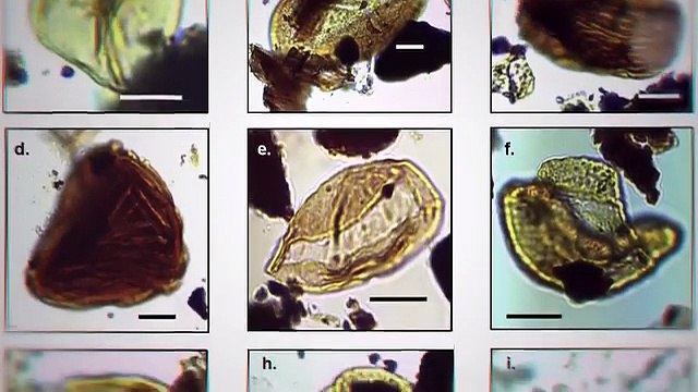 Unsolved Mysteries in Antarctica 🤯😱😵 #knowledge #trending #viralvideo #zemtv Zem tv