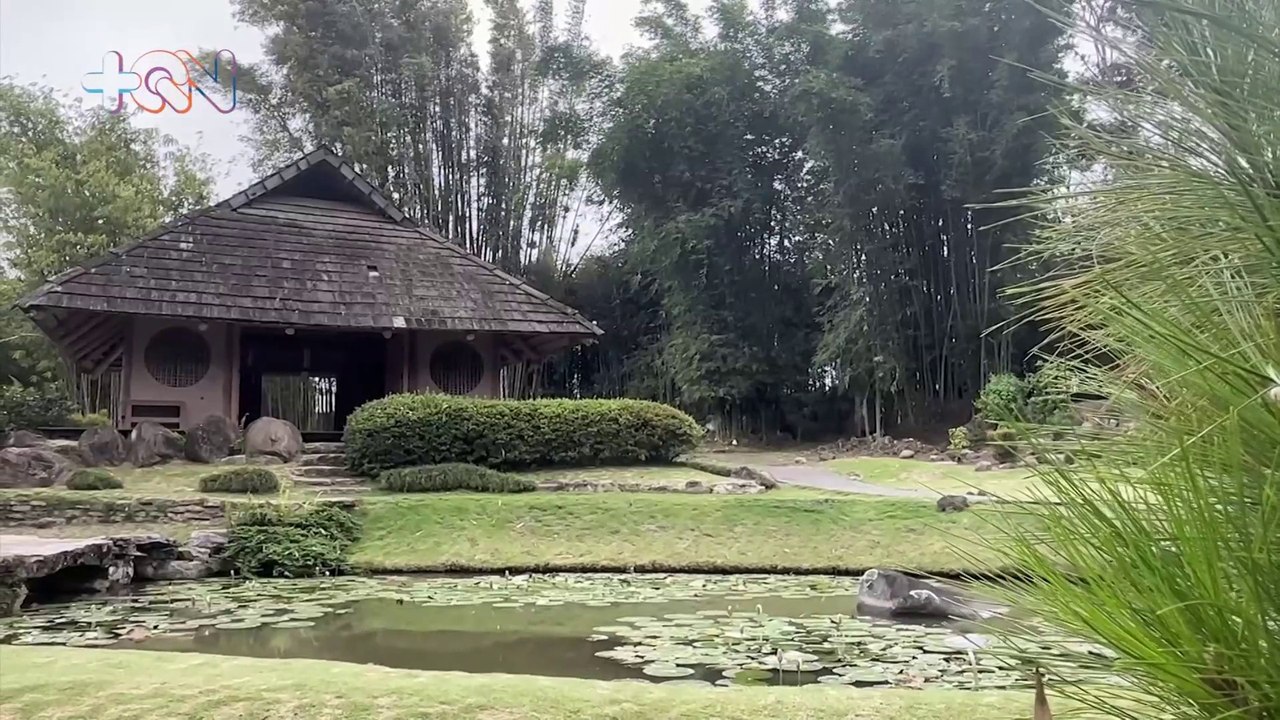 Este lugar en Cartago tiene orquídeas únicas en el mundo y hasta una casa japonesa