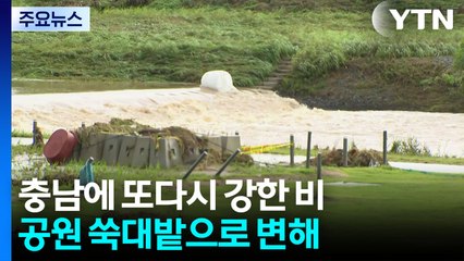 많은 곳 150㎜↑ 비 예보...이 시각 충청 / YTN