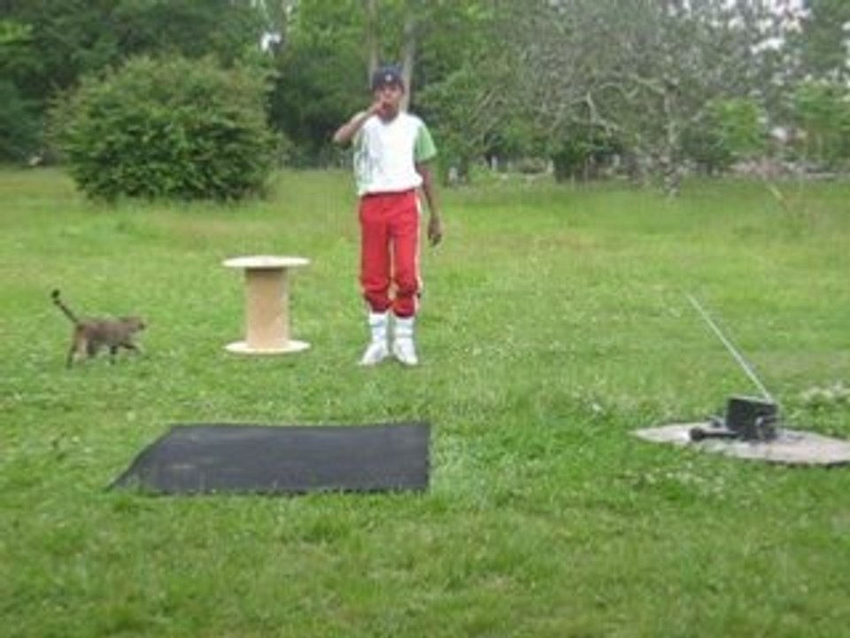 moi o hip-hop