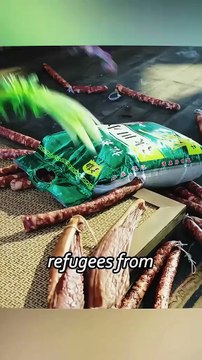 Girl Discards Expired Food, Becomes Savior of Refugees from a T housand Years Ago, Uses Antique Dagger to Get Money for Food Storage in Desperate Times! #AncientFutureLink #ModernVsAncient #TimeTravel #FoodMagic #KindnessMatters #Pa