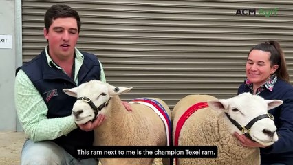 South Australian Texel breeder takes home both champion and reserve at ASWS