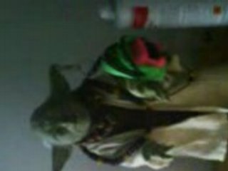 yoda ds ma chambre