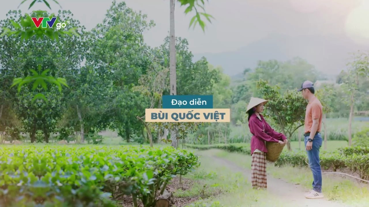 Dịu Dàng Màu Nắng Tập 34 Phim Việt Nam VTV1