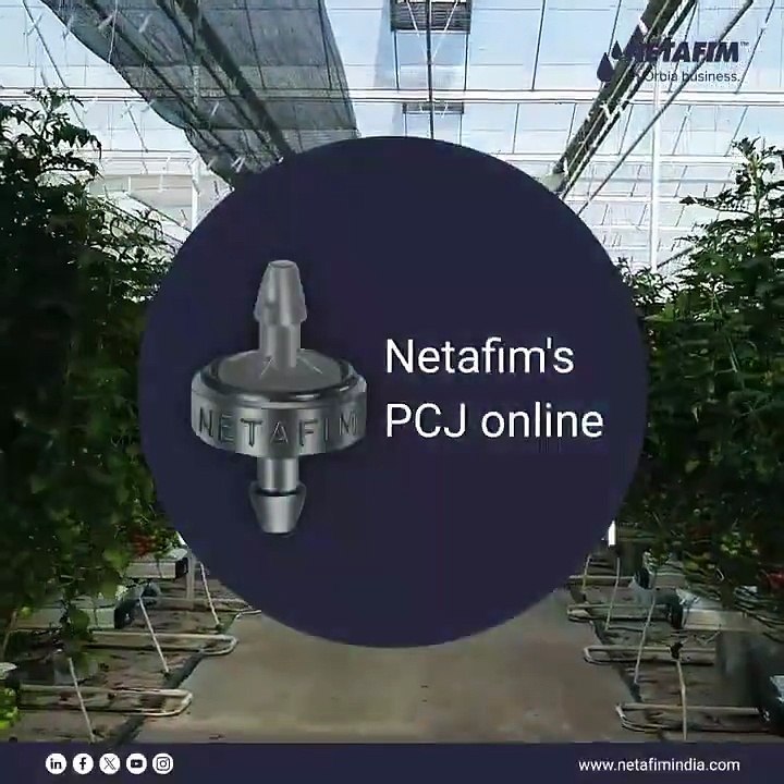 Netafim PCJ Online Dripper | Precision Irrigation for Orchards & Greenhouses