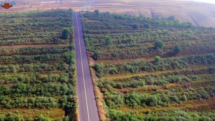 Top Country Songs 2025 🎸 Morgan Wallen, Luke Combs, Jason Aldean 🎸 Best Country Playlist _ Part 06