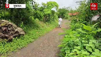 ઉઘાડા પગથી શરુઆત કરી મેળવ્ચા અનેક ગોલ્ડ મેડલ! નવસારીના આદિવાસી ગામના આ યુવાને સિંગાપુરમાં ગુજરાતનું ગૌરવ વધાર્યું