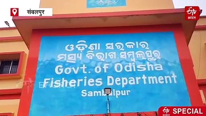 'पिंजरे' में मत्स्य पालन से बन रहे लखपति! केज फिश फार्मिंग ने बदली किस्मत