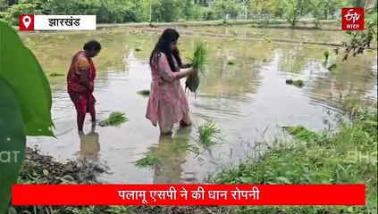लेडी सिंघम ने की धान की रोपाई, आईपीएस रीष्मा रमेशन ने महिलाओं के साथ गाया पारंपरिक गीत