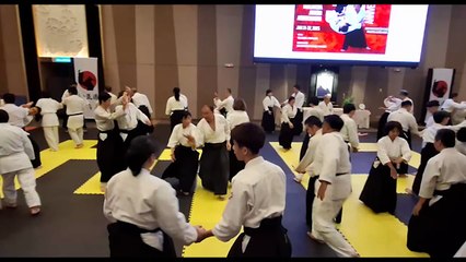 Low Sensei Aikido Session | MAA 30th Anniversary Seminar 2025