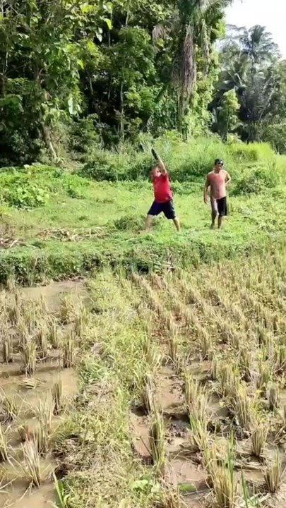 sketsa komedi pasundan