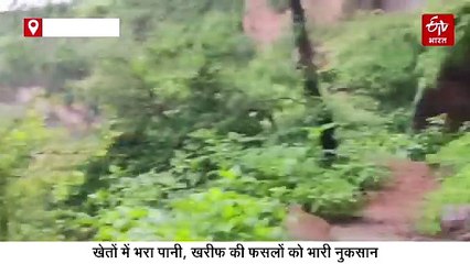 किसानों की मेहनत पर पानी : भारी बारिश से भरतपुर संभाग में 19,170 हेक्टेयर फसलें चौपट, करौली में सर्वाधिक नुकसान