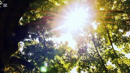 JESUS TV SERIES EPISODE 72 |ENGLISH AUDIO💯%|