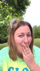 The Birds make a Nest