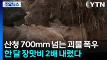 산청 700mm 넘는 괴물 폭우...한 달 장맛비 2배 내렸다 / YTN