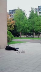 After one night, I got pregnant with the cold, powerful CEOs babynow he spoils me every night.