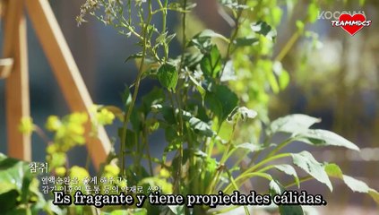 Andante de Amor Capitulo 4