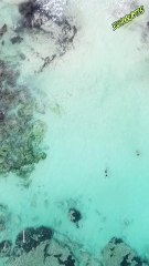 The future belongs to those who believe in the beauty of their dreams #energy #echoquotes #viral