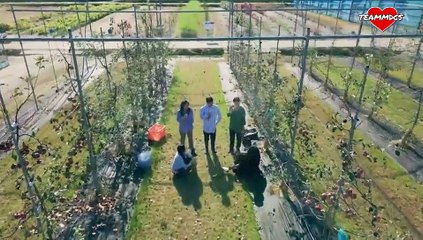 Andante de Amor Capitulo 7