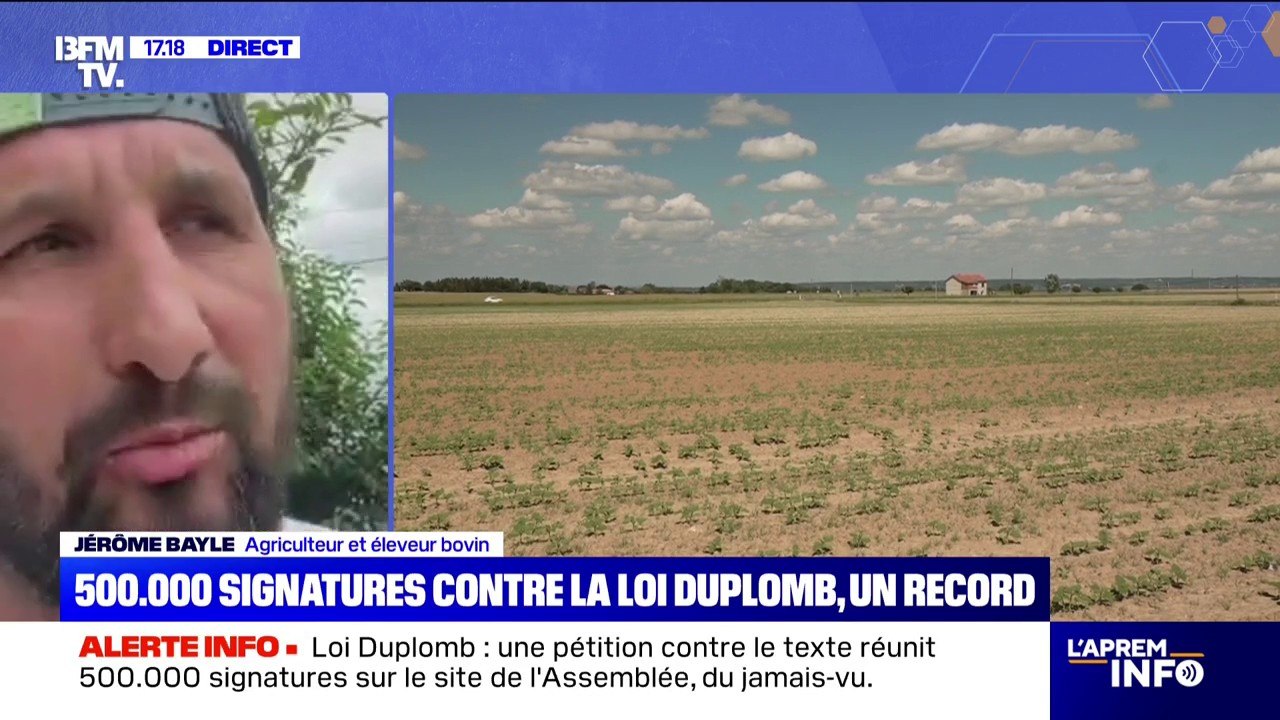 Loi Duplomb: "C'est un pas de plus pour l'agriculture et une sortie de certaines contraintes", estime Jérôme Bayle, agriculteur