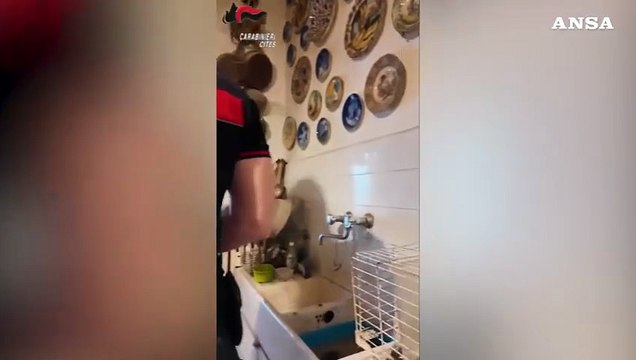 Animali mal tenuti in casa: blitz dei carabinieri a Torino