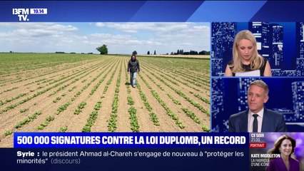 500 000 signatures contre la loi Duplomb, un record - 19/07