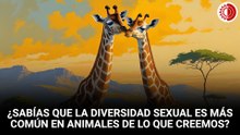 Diversidad sexual en animales