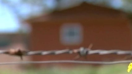 Nueva masacre: hallan cuatro cuerpos en Yondó, Antioquia