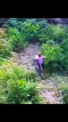 Epic Fails That Will Make Your Day! 😂