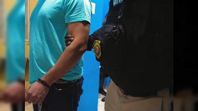 Entregan en extradición a dominicano acusado de traficar droga