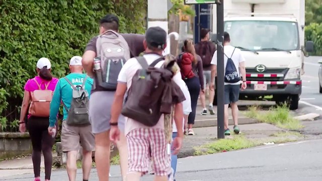 tn7-seguridad-romeros-190725