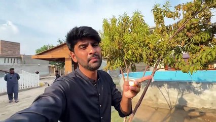 Bahut Burra Gira Pani Main Bal Bal bacha 🥲 @shehrmaindihat