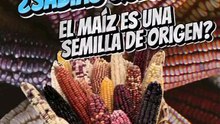 México: La Cuna del Maíz y la Vida