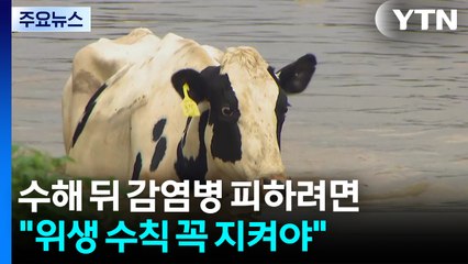수해 뒤 감염병 피하려면..."위생 수칙 반드시 지켜야" / YTN