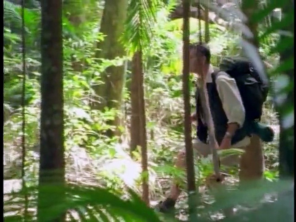 Paseando con Dinosaurios - La garra gigante | Latino