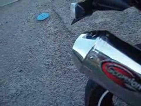 600 bandit pot scorpion inox