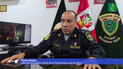Un Chapulín Colorado se suma a la policía antidrogas en Perú