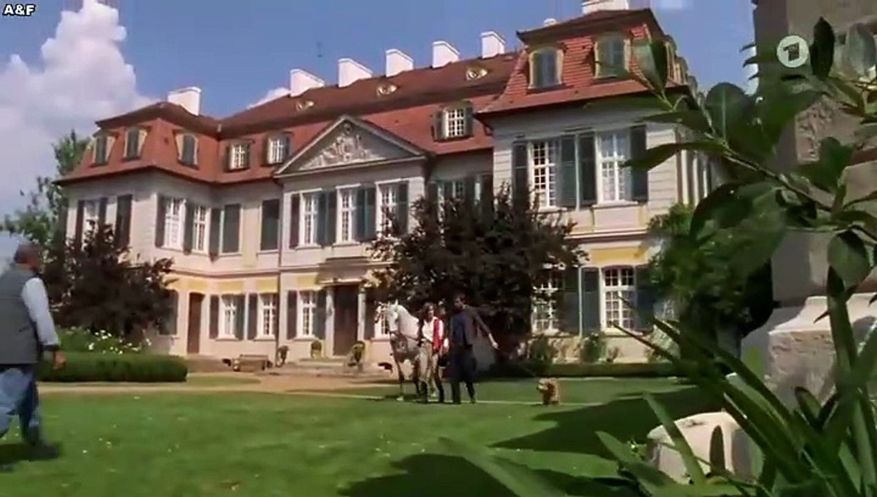 Utta Danella -10- Plötzlich ist es Liebe