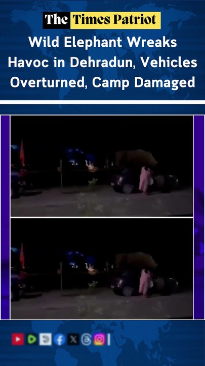 Wild Elephant Wreaks Havoc in Dehradun, Vehicles Overturned, Camp Damaged