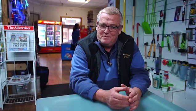 South Australian tourism operators call for Commonwealth support amid toxic algal bloom