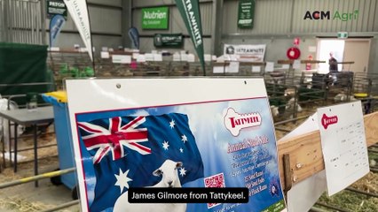 NSW sheep stud dominates interbreed competition at ASWS 2025