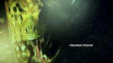 1x04 Primeval New World