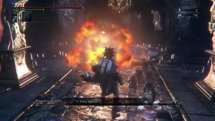 All 31 Chalice Bosses Vs. Rapid Fire Cannon Glitch - NO DAMAGE - Bloodborne
