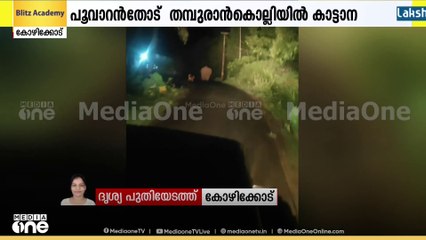 കോഴിക്കോട്  കൂടരഞ്ഞിയിൽ ജനവാസ മേഖലയിൽ  കാട്ടാനയിറങ്ങി