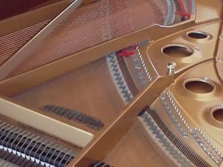 Kawai Player Grand Close-up Look