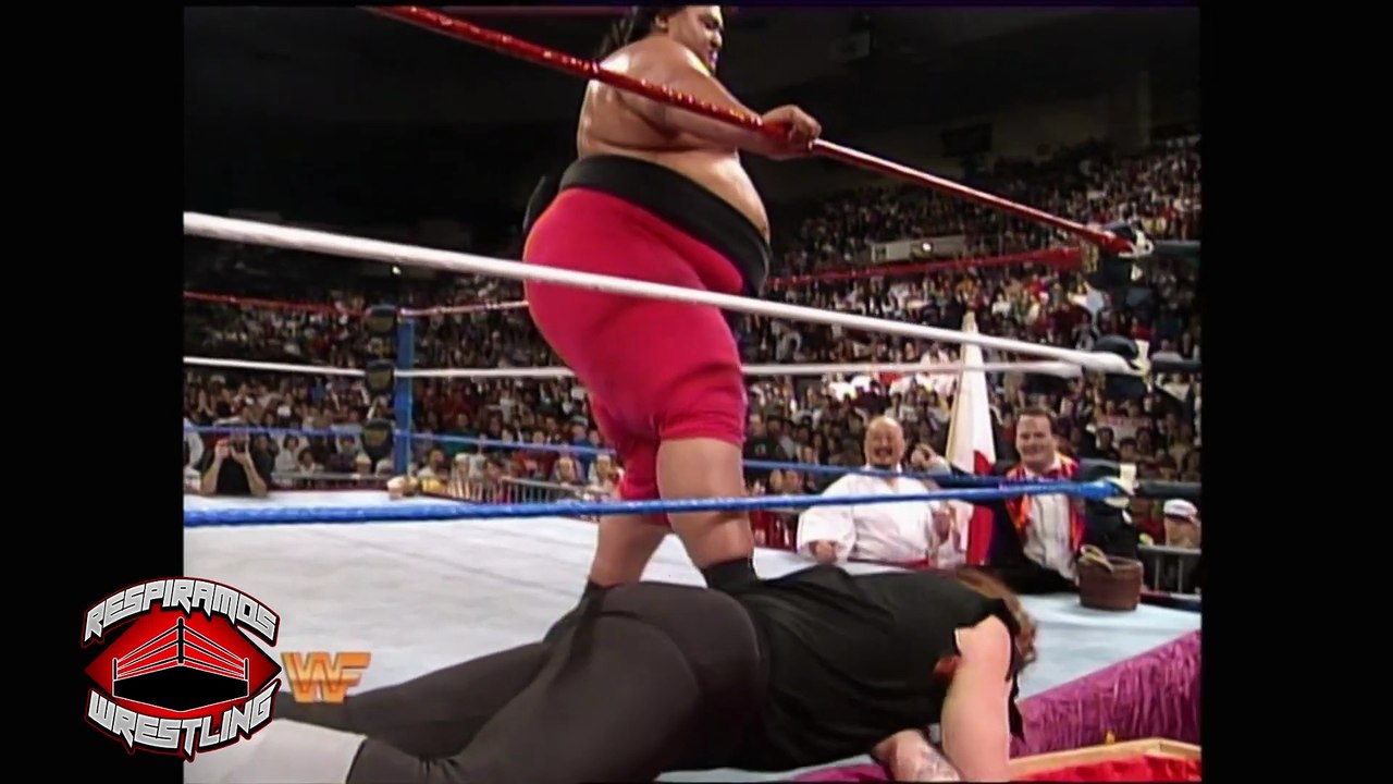 UNDERTAKER VS UNDERTAKER SUMMERSLAM 1994