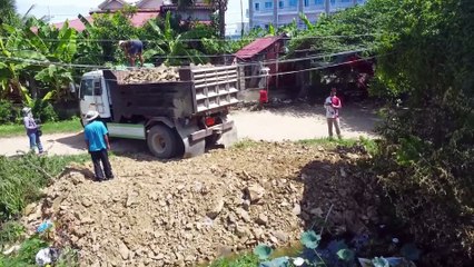 Aw Bulldozer D31 Remove Pond with Dump Truck