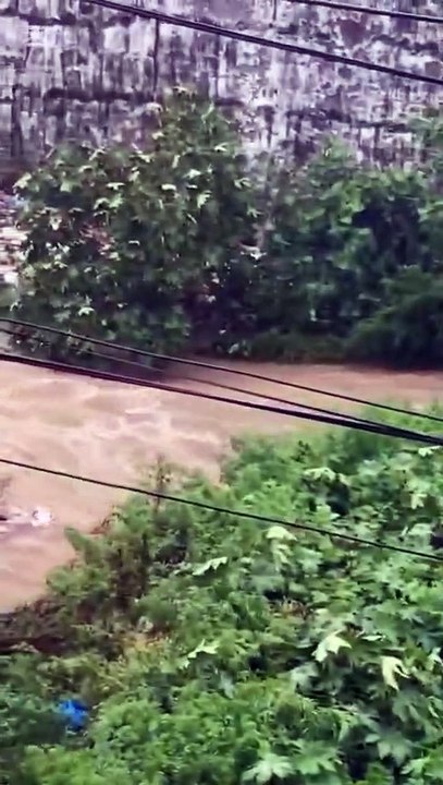 Suzuki Alto Floating in Flood