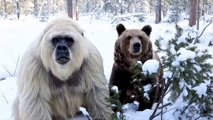 Yeti and Bigfoot VLOG